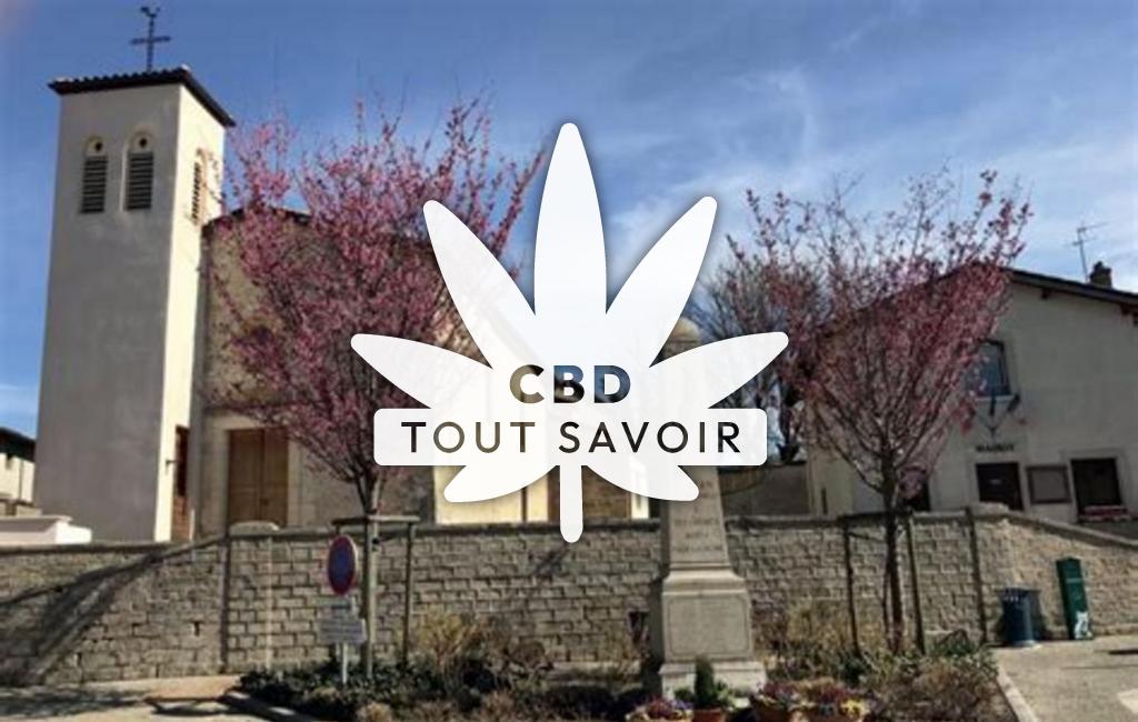 Village à Saint-Jean-de-Thurigneux avec feuille Cannabis CBD