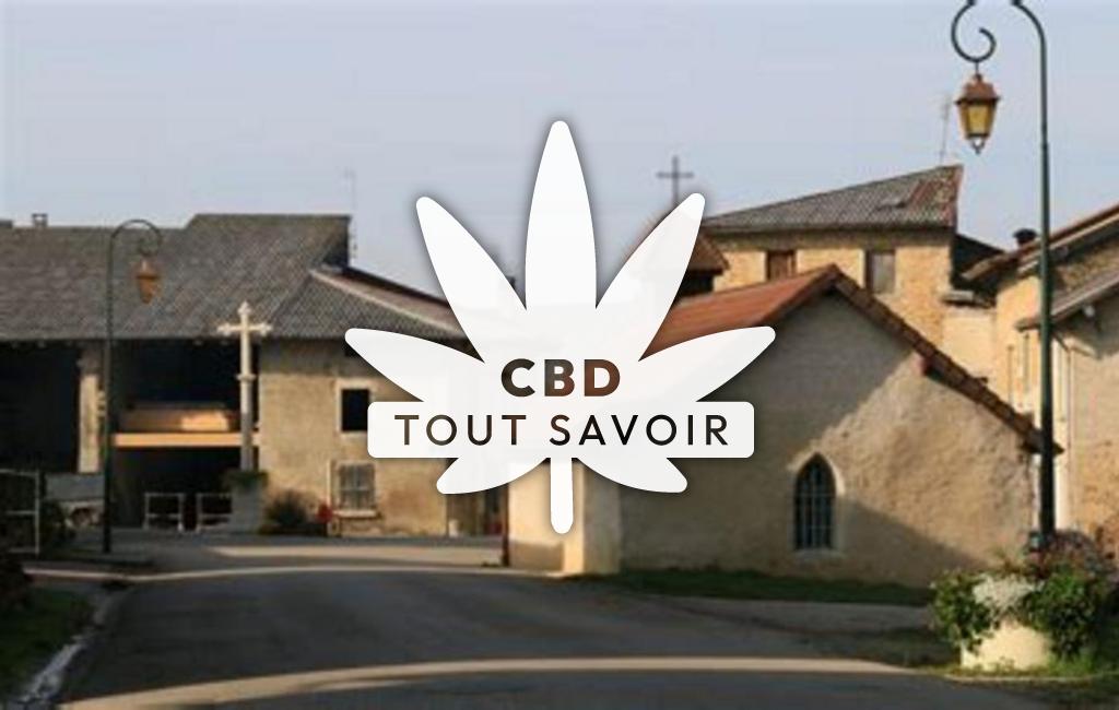 Village à Saint-Jean-le-Vieux avec feuille Cannabis CBD