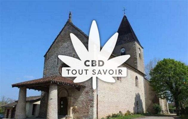 Village à Saint-Jean-sur-Reyssouze avec feuille Cannabis CBD