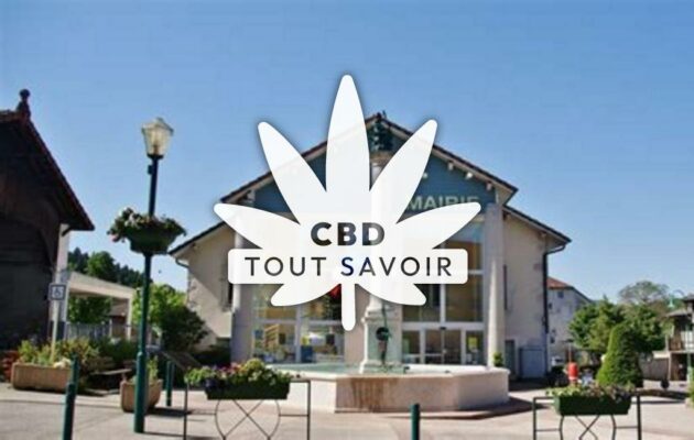 Village à Saint-Martin-du-Frene avec feuille Cannabis CBD