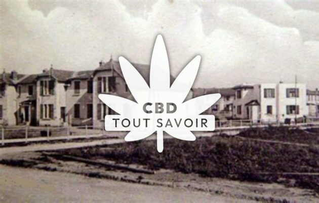 Village à Saint-Maurice-de-Beynost avec feuille Cannabis CBD