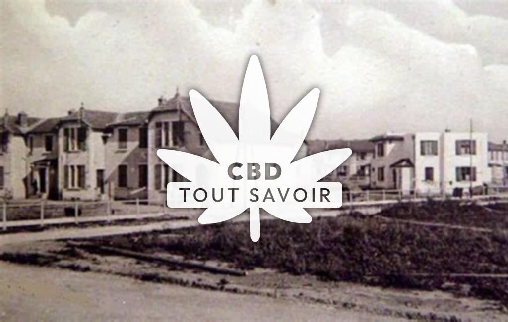 Village à Saint-Maurice-de-Beynost avec feuille Cannabis CBD