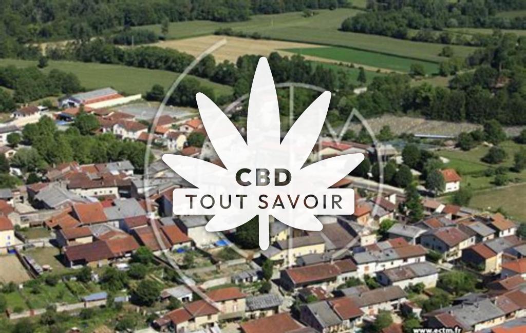 Village à Saint-Maurice-de-Remens avec feuille Cannabis CBD