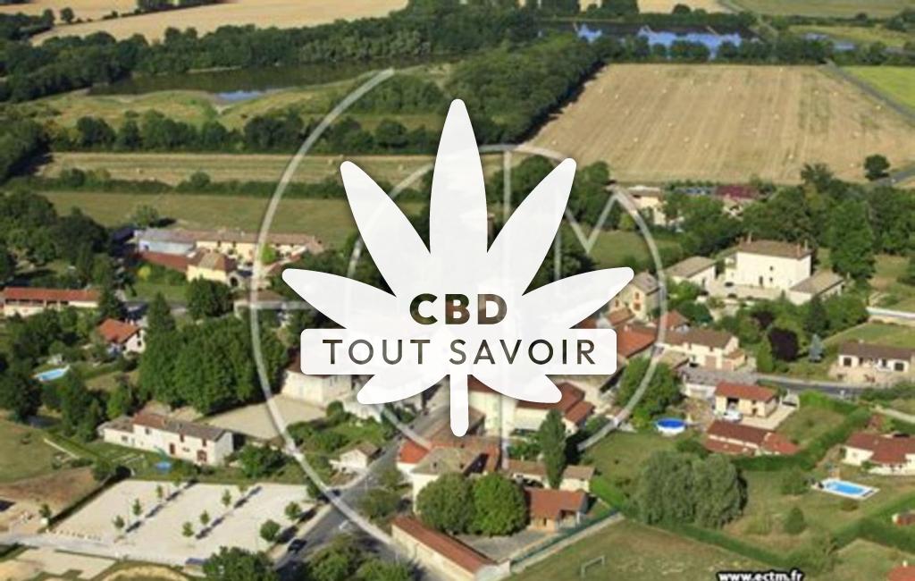 Village à Sandrans avec feuille Cannabis CBD