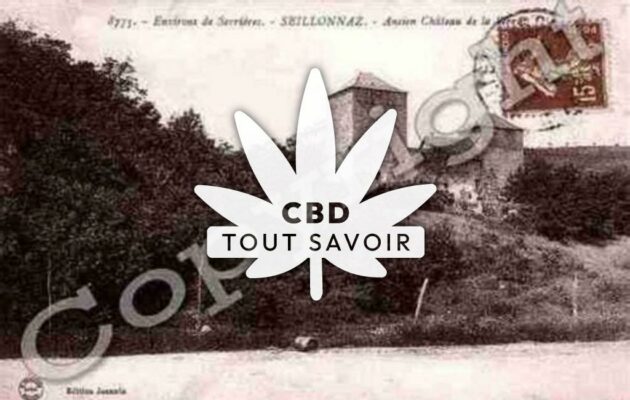 Village à Seillonnaz avec feuille Cannabis CBD