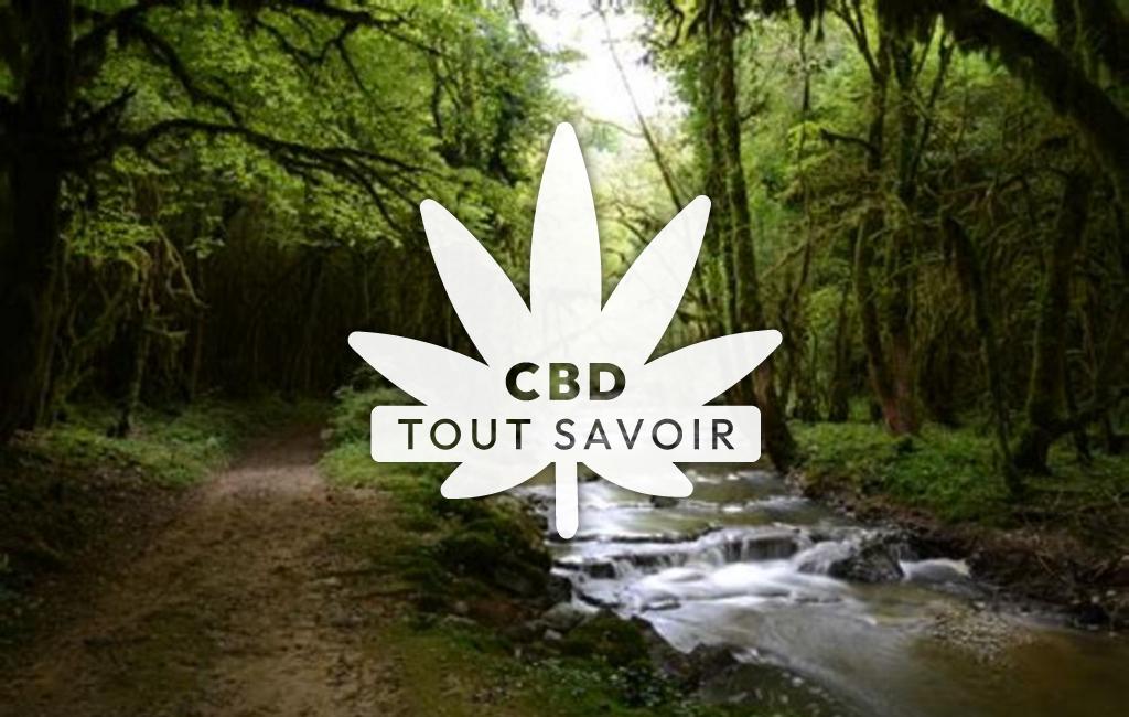 Village à Serrieres-sur-Ain avec feuille Cannabis CBD