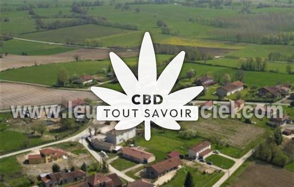 Village à Servignat avec feuille Cannabis CBD