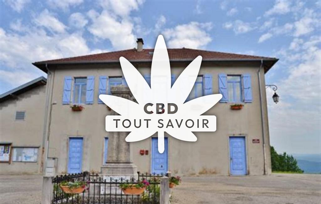 Village à Sonthonnax-la-Montagne avec feuille Cannabis CBD