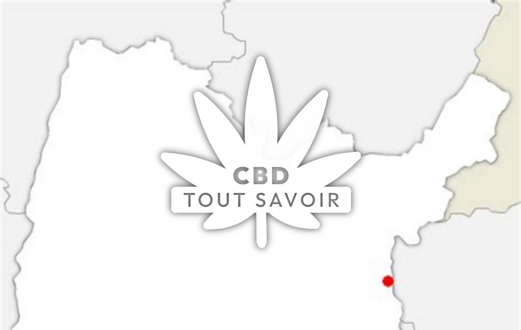 Village à Surjoux-Lhopital avec feuille Cannabis CBD