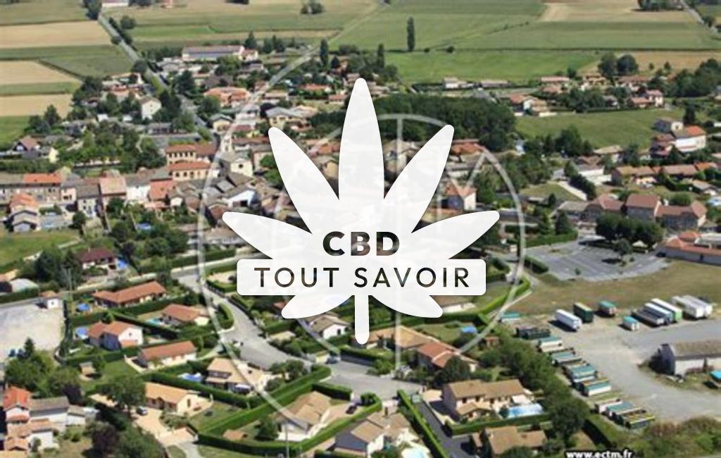 Village à Villeneuve avec feuille Cannabis CBD