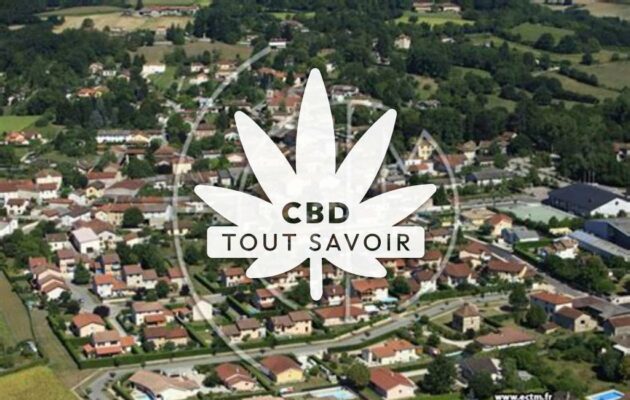 Village à Villieu-Loyes-Mollon avec feuille Cannabis CBD