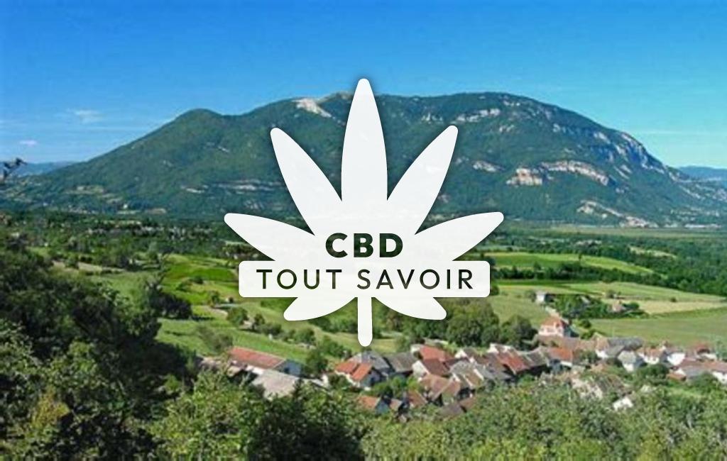 Village à Vongnes avec feuille Cannabis CBD