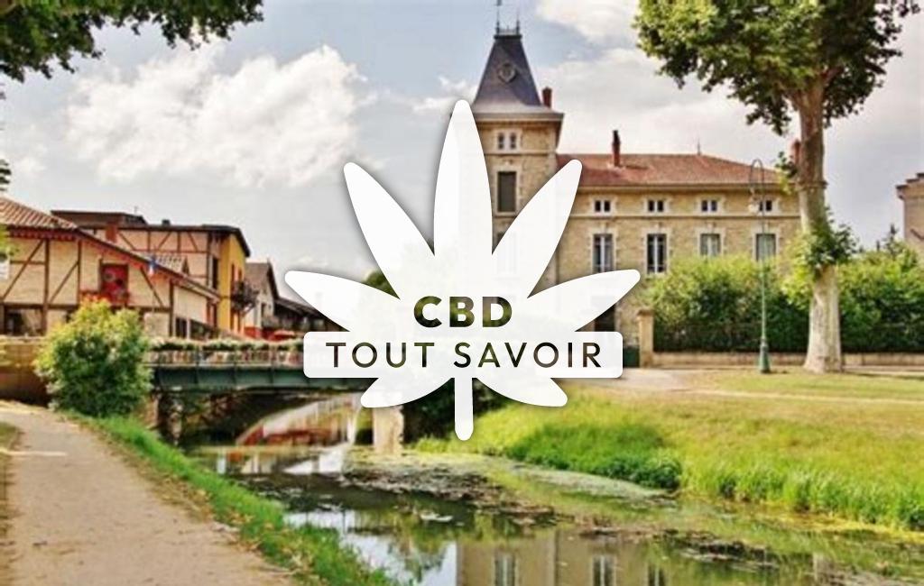 Village à Vonnas avec feuille Cannabis CBD