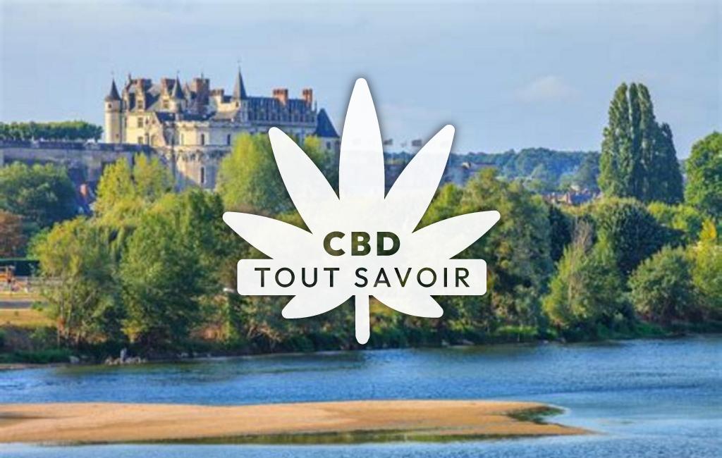 Drapeau Centre-Val de Loire avec feuille Cannabis CBD