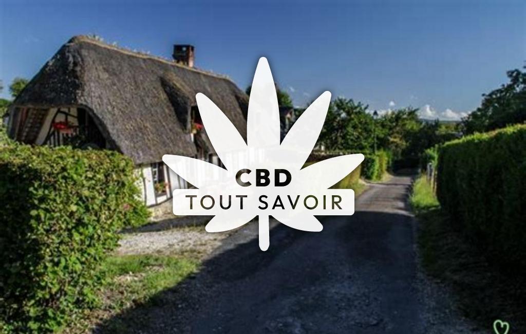 Drapeau Normandie avec feuille Cannabis CBD