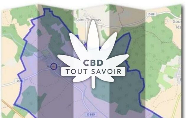 Village à Aizelles avec feuille Cannabis CBD