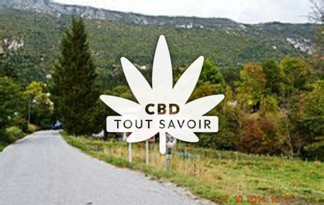 Village à Angles avec feuille Cannabis CBD