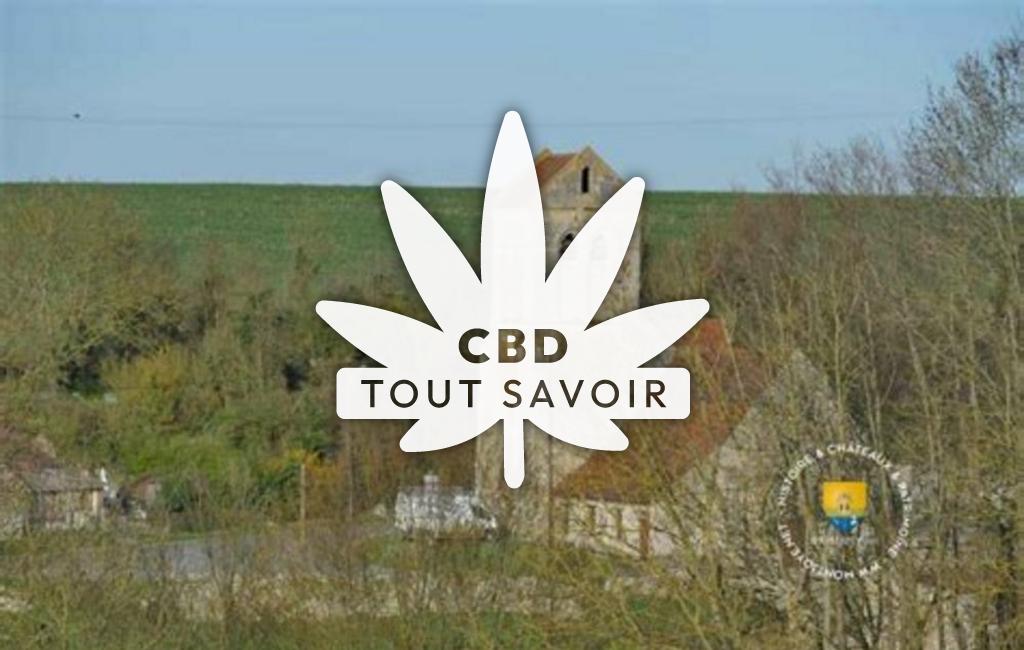 Village à Armentieres-sur-Ourcq avec feuille Cannabis CBD