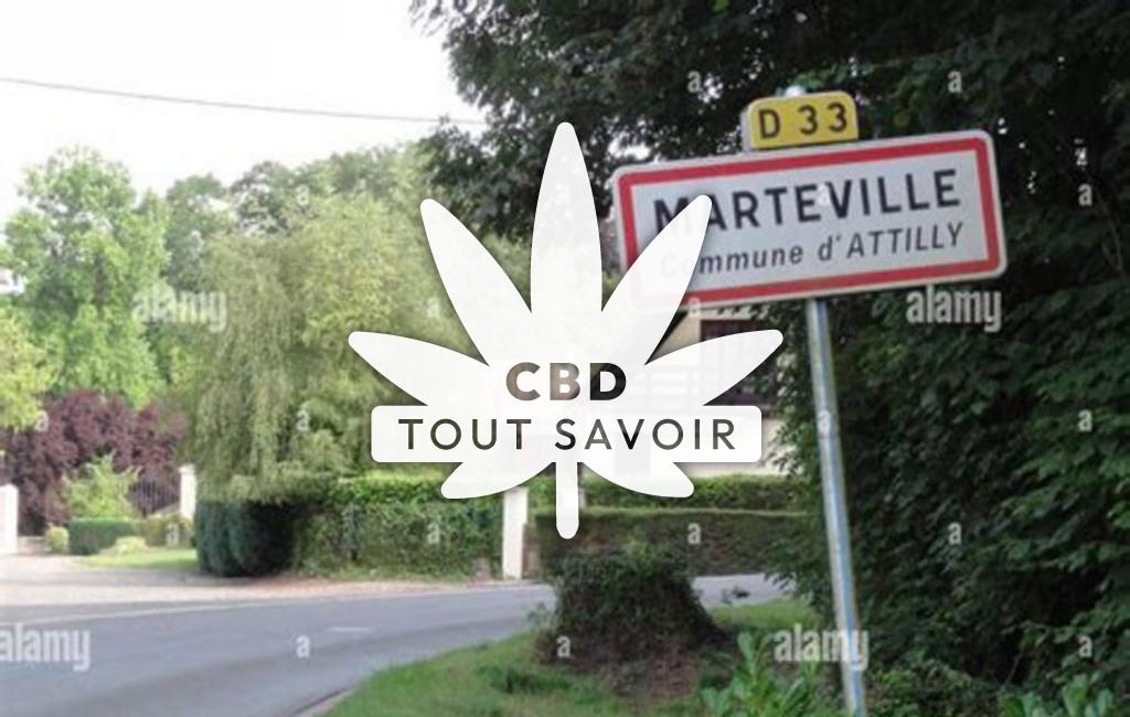 Village à Attilly avec feuille Cannabis CBD