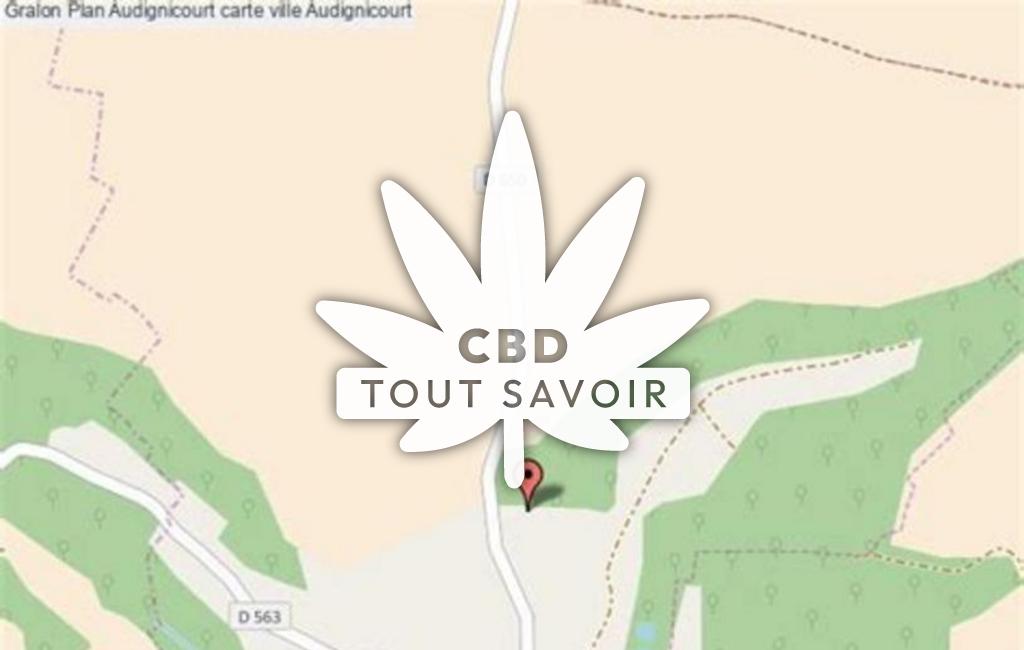 Village à Audignicourt avec feuille Cannabis CBD