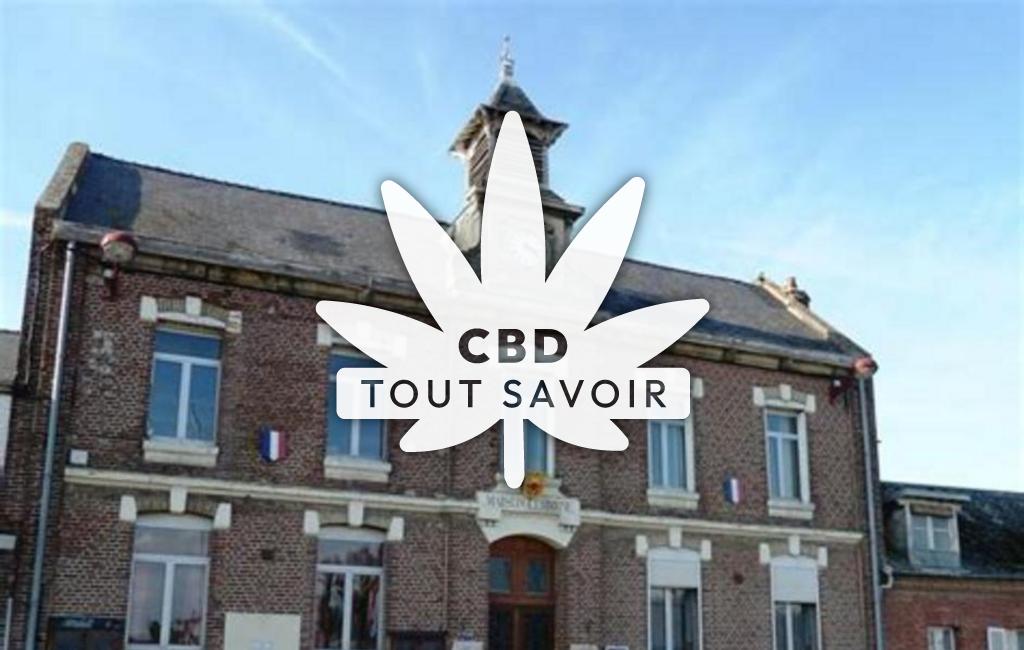 Village à Aulnois-sous-Laon avec feuille Cannabis CBD