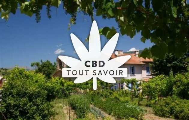 Village à Barras avec feuille Cannabis CBD