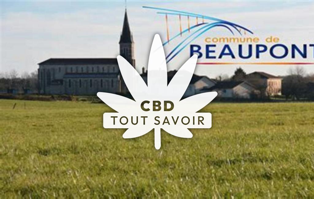 Village à Beaupont avec feuille Cannabis CBD