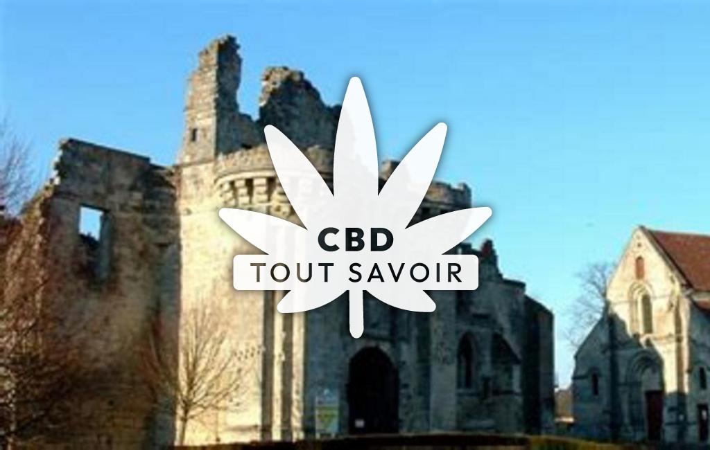 Village à Berzy-le-Sec avec feuille Cannabis CBD