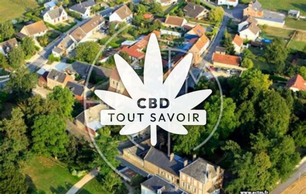 Village à Besny-Et-Loizy avec feuille Cannabis CBD