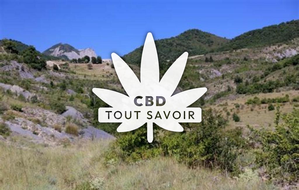 Village à Bevons avec feuille Cannabis CBD