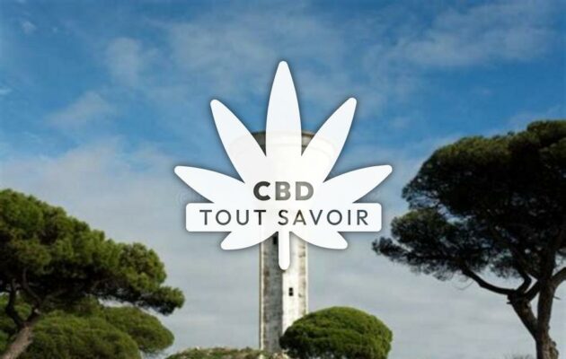 Village à Bey avec feuille Cannabis CBD