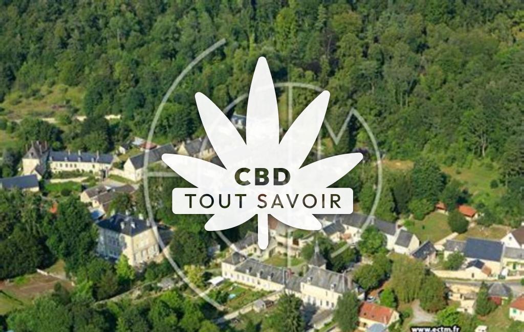 Village à Bourguignon-sous-Montbavin avec feuille Cannabis CBD