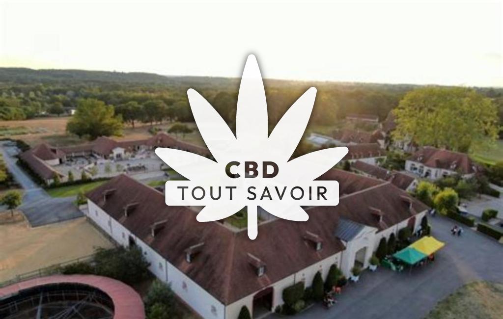 Village à Braize avec feuille Cannabis CBD