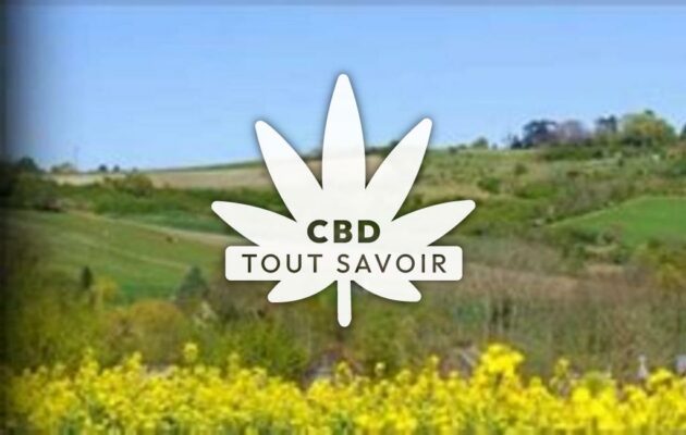 Village à Bransat avec feuille Cannabis CBD