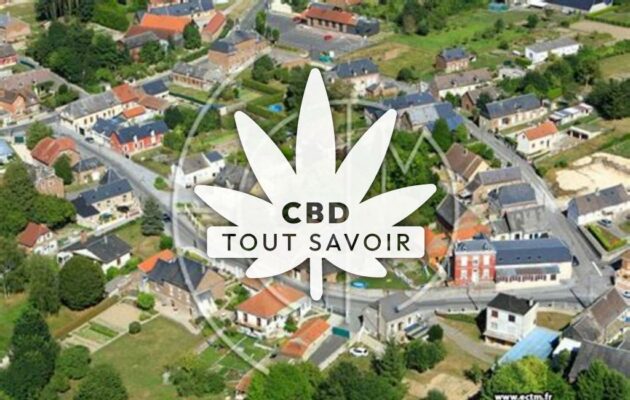 Village à Brissy-Hamegicourt avec feuille Cannabis CBD