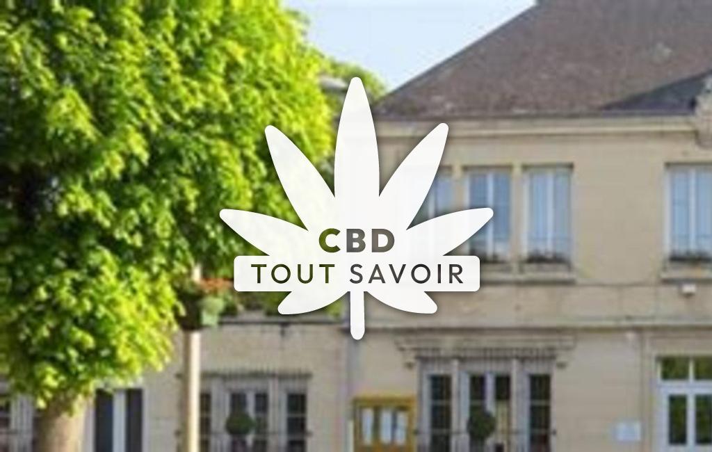 Village à Bucy-le-Long avec feuille Cannabis CBD