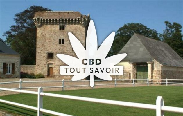 Village à Cerny-les-Bucy avec feuille Cannabis CBD