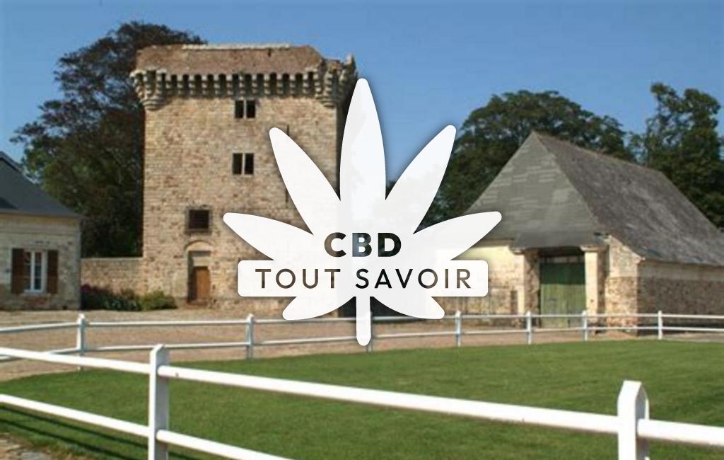 Village à Cerny-les-Bucy avec feuille Cannabis CBD