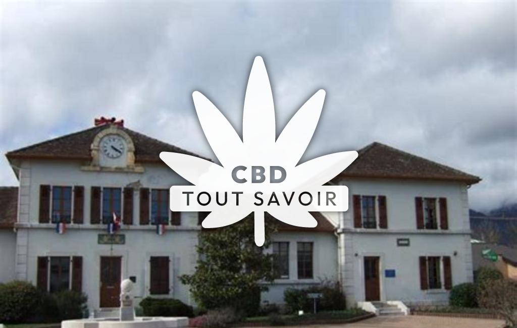 Village à Cessy avec feuille Cannabis CBD