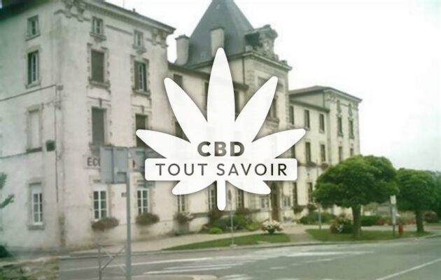 Village à Ceyzeriat avec feuille Cannabis CBD