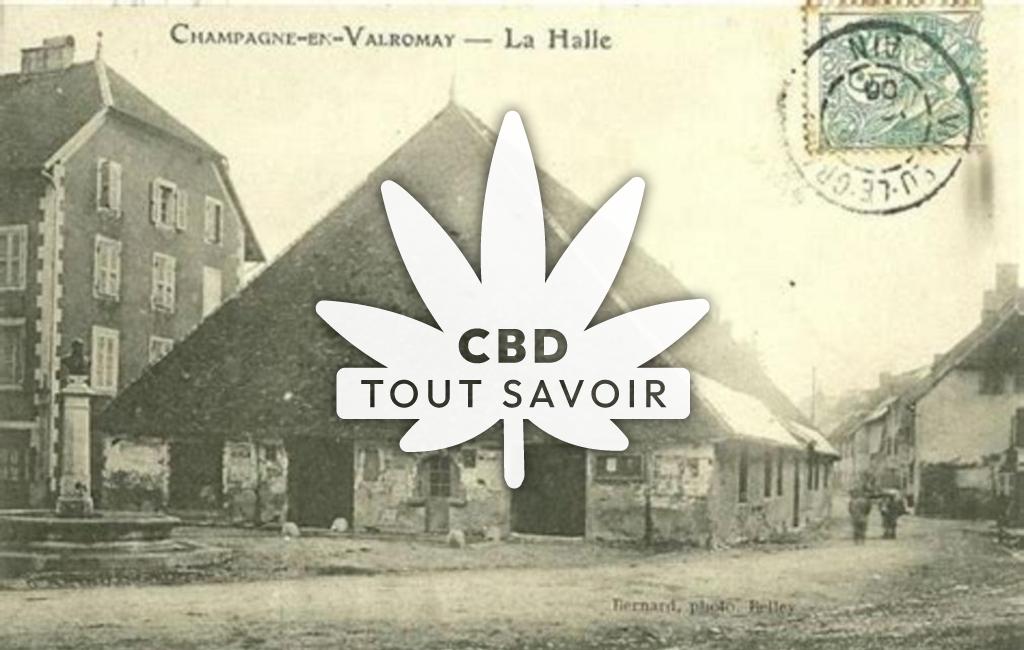 Village à Champagne-en-Valromey avec feuille Cannabis CBD