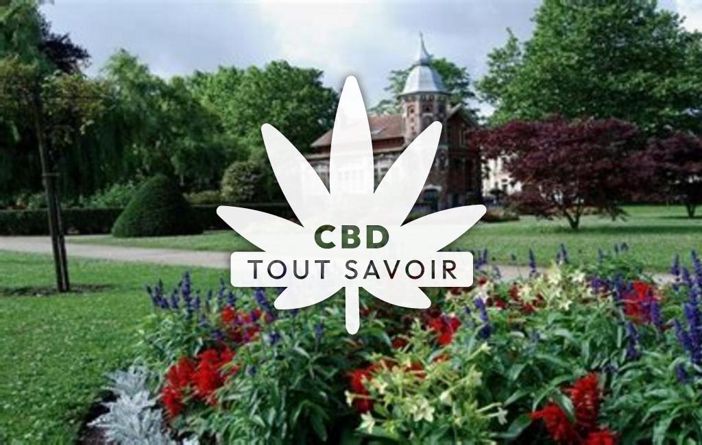 Village à Champs avec feuille Cannabis CBD