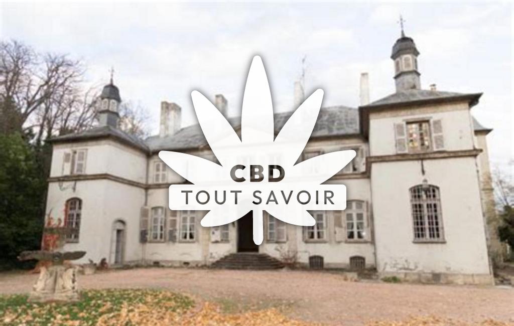 Village à Charmeil avec feuille Cannabis CBD