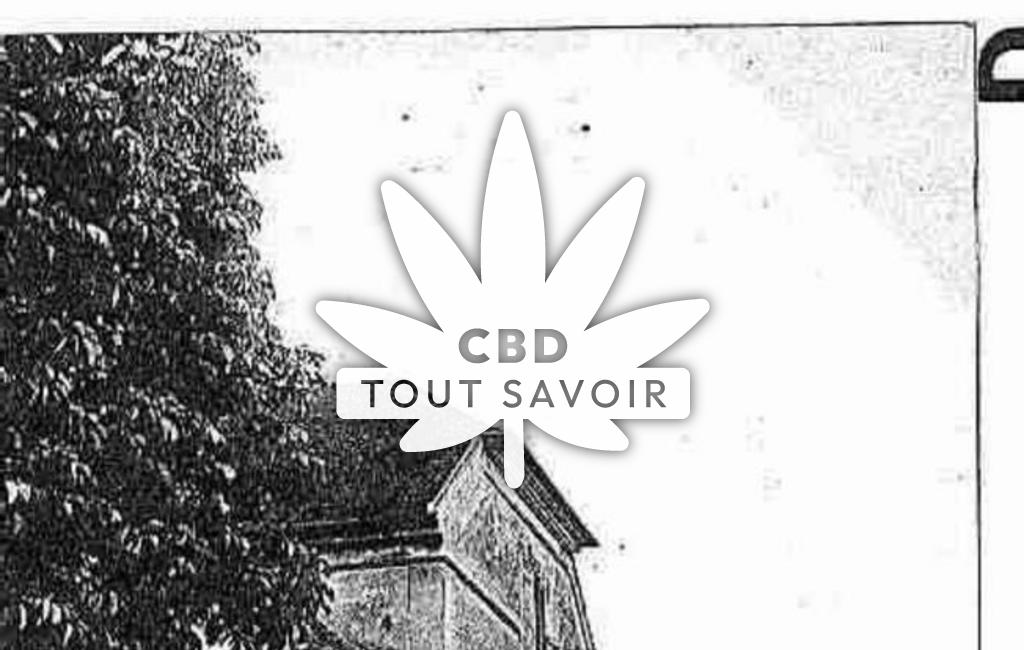 Village à Charteves avec feuille Cannabis CBD