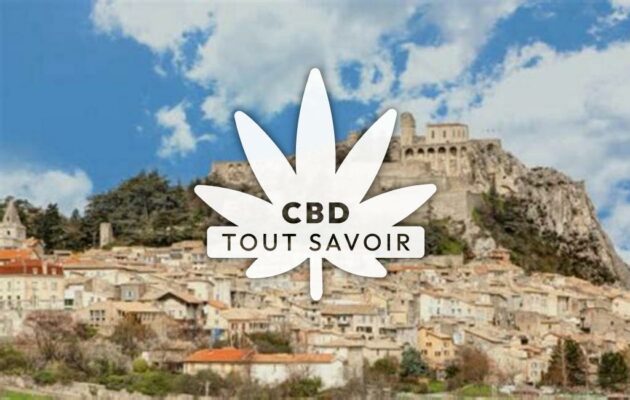 Village à Chateau-Arnoux-Saint-Auban avec feuille Cannabis CBD