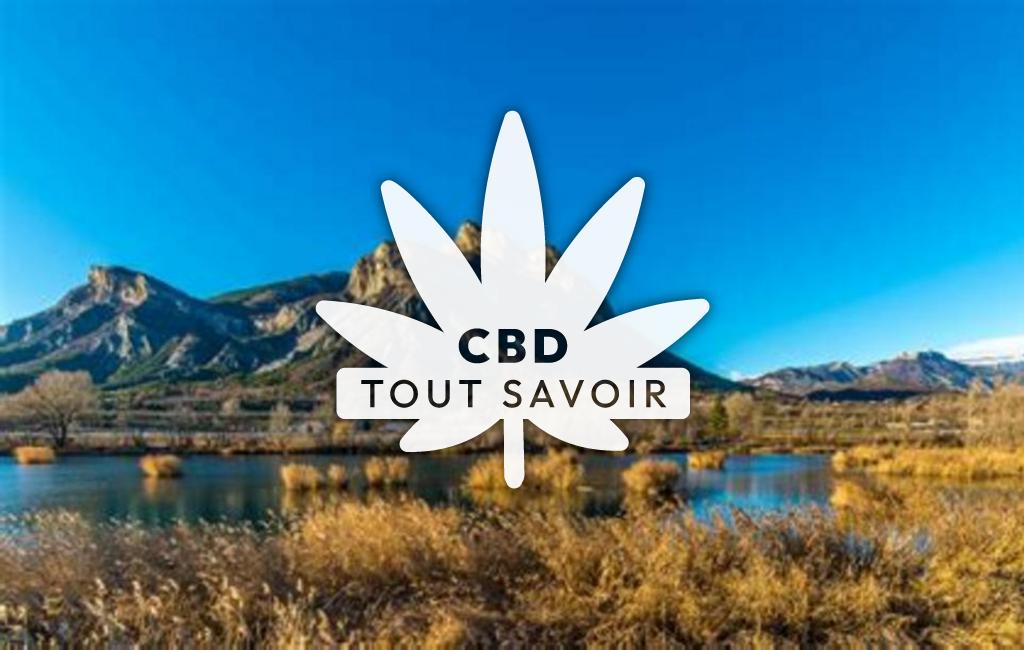 Village à Chateauvieux avec feuille Cannabis CBD