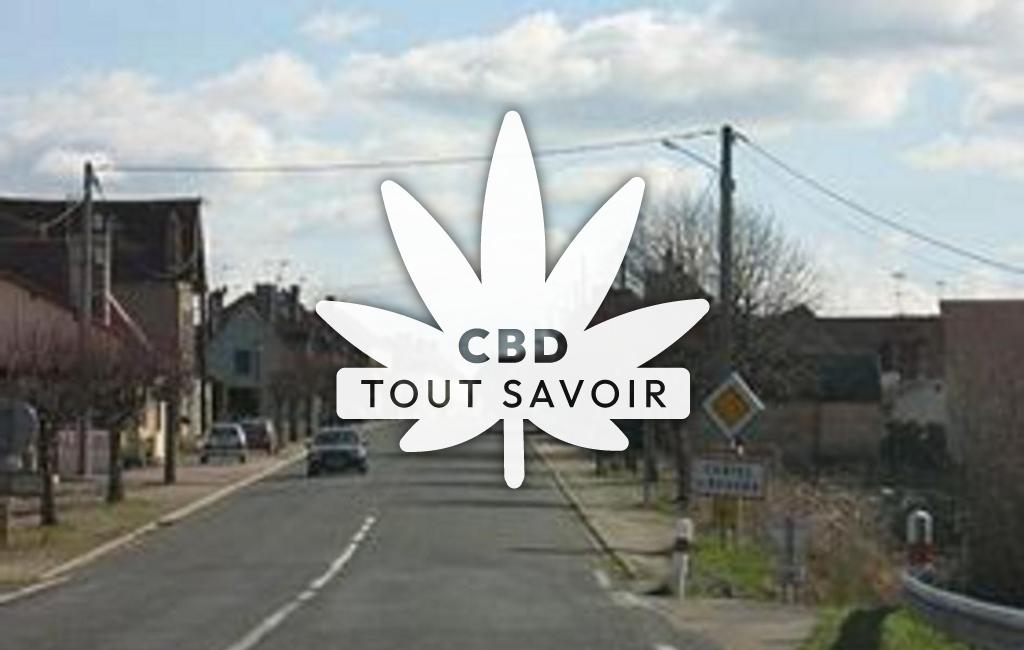 Village à Chatel-de-Neuvre avec feuille Cannabis CBD