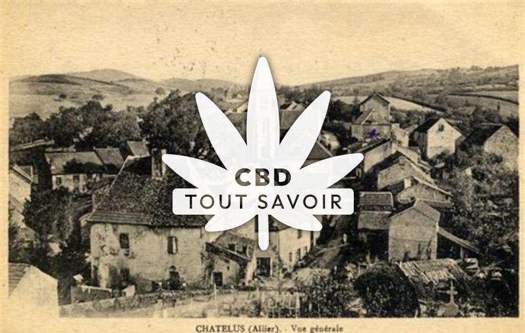 Village à Chatelus avec feuille Cannabis CBD