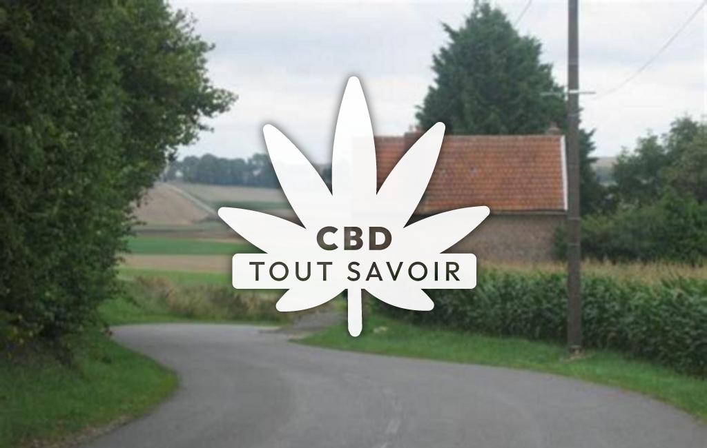 Village à Chatillon-les-Sons avec feuille Cannabis CBD