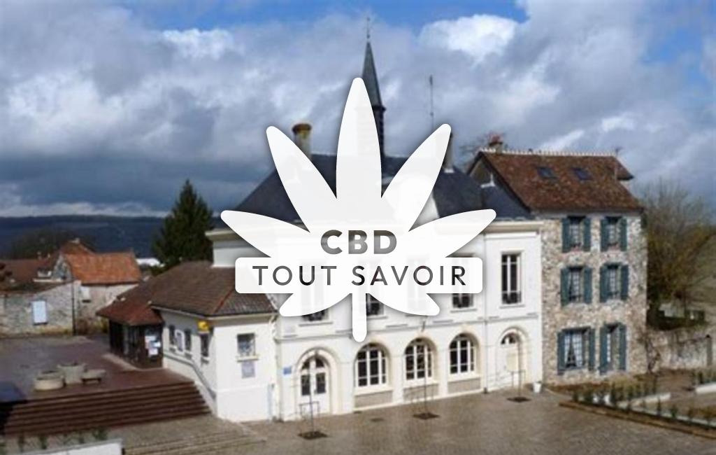 Village à Chezy-sur-Marne avec feuille Cannabis CBD